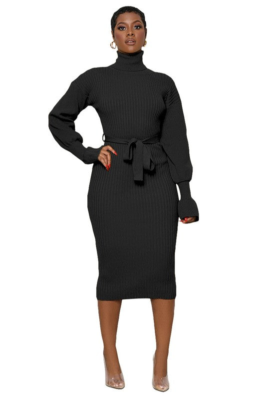 Black Turtleneck Bodycon Midi Sweater Dress