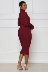 Burgundy Turtleneck Bodycon Midi Sweater Dress