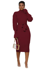 Burgundy Turtleneck Bodycon Midi Sweater Dress